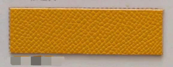 Sigma Gamma Rho Speedy